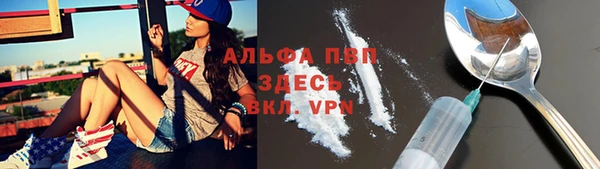 спайс Аркадак