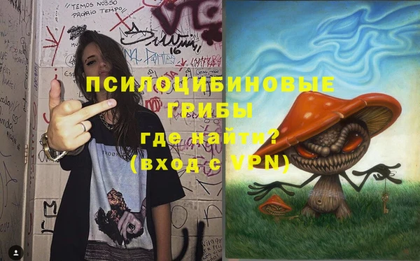 спайс Аркадак