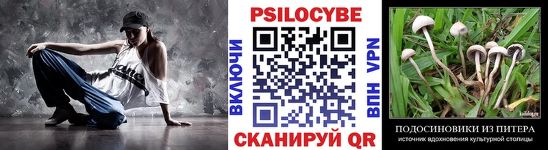Псилоцибиновые грибы Psilocybe  Козельск 